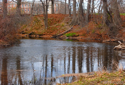 7. riverbend-kab