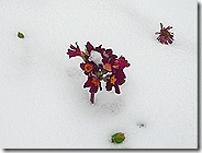 P1090543