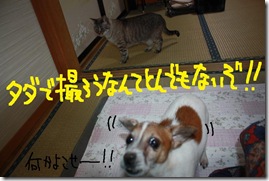 今日カズ０９１２２２　４