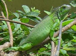 Parque Nacional Juan Castro Blanco