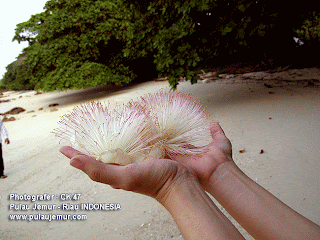 Pulau Jemur Diklaim Jadi Obyek Wisata Malaysia (Malingsia) - Mengapa Malaysia Selalu Maling???