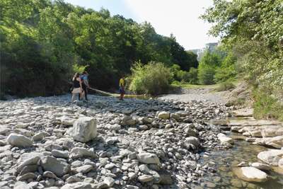 Vadeamos el cauce del río