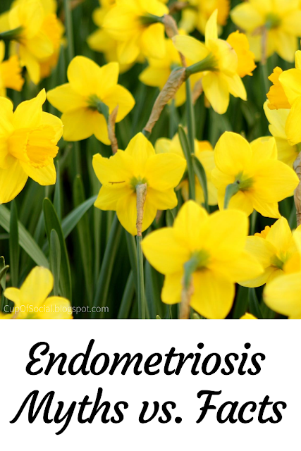 Endometriosis Myths vs. Facts | A Cup of Social