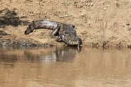 IMG_7841