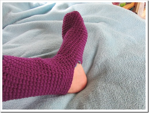 2015-05-24 Wyoming, Foxpark - Homemade Socks (1)