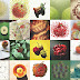 Can An Apple A Day Make You A Better Designer?