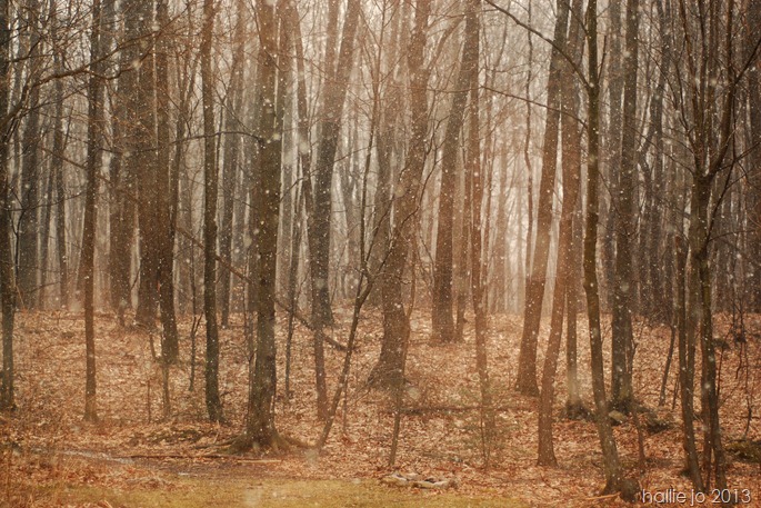 PA62