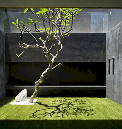 jardin Zen con arbol