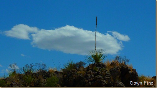 Big Bend Ranch State park_097