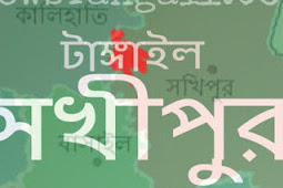 সখীপুর এসআইটিবিএম শিক্ষকদের নেই এমপিও  তবুও শতভাগ পাস