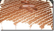 bolos chocolate (50)