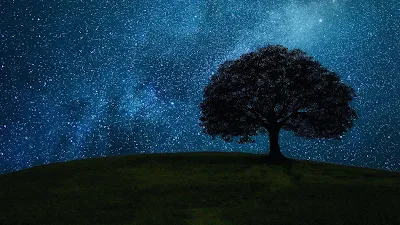 Wallpaper Grass Field, Tree, Starry Sky, Night