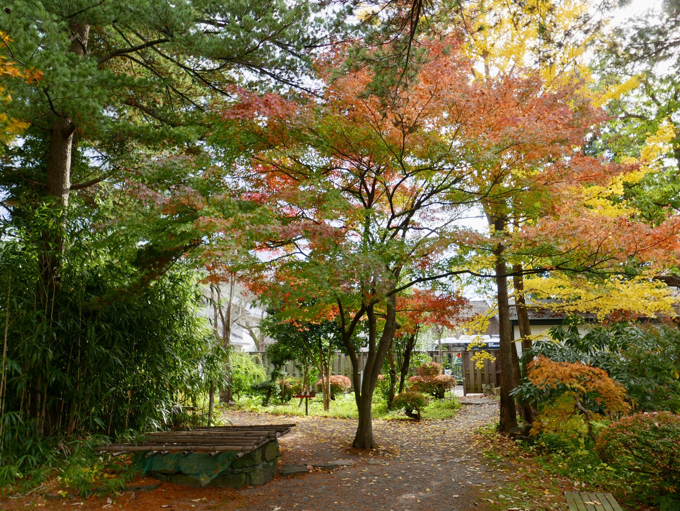 秋田縣仙北市角館町西宮家