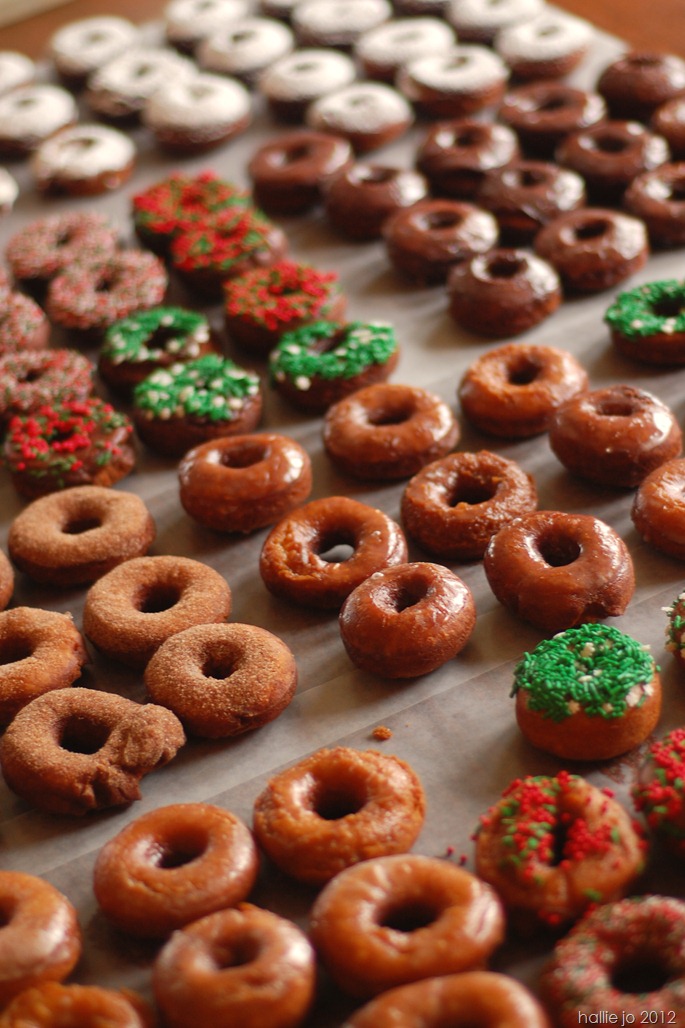 Donut48