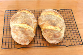 first two loaves of sourdough bread