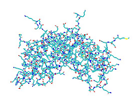 IFN-gamma.