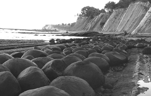 Bowling Ball Beach