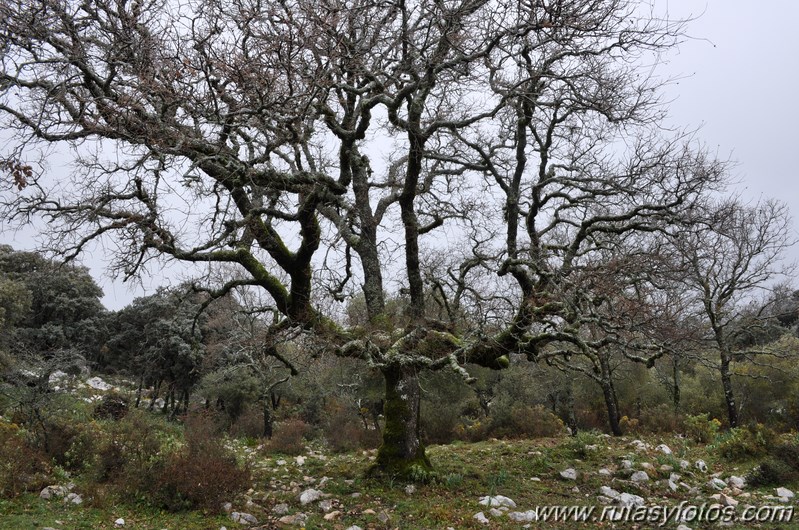 Benaocaz - Mitano - Casa de Fardela - Pajaruco