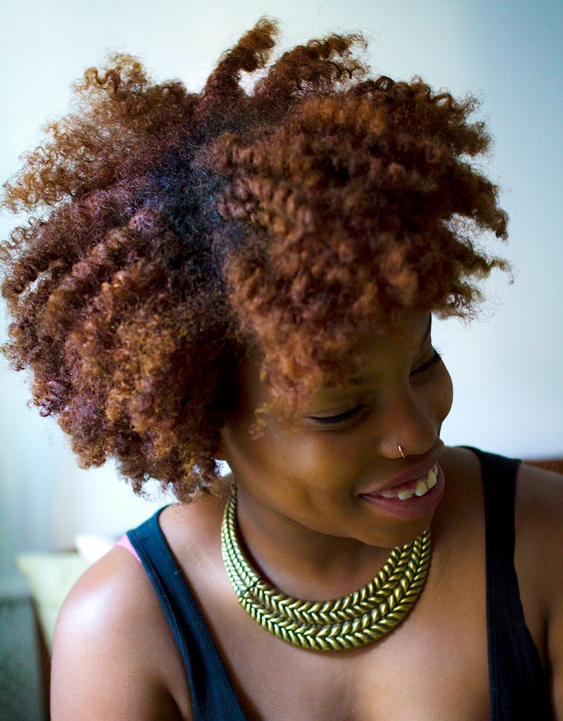 LaTonya Yvette: Natural Hair Diary| Two-Strand Twist Out
