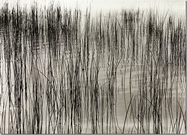 Harry Callahan - Detroit, 1941