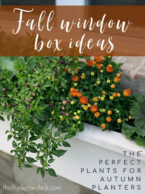 Fall window box ideas