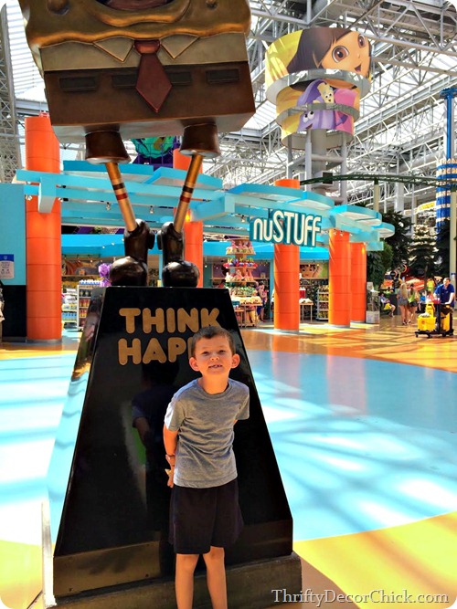 Mall of America amusement park