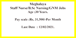 Staff Nurse/B.Sc Nursing/GNM Jobs in Meghalaya