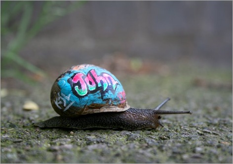 snail-graf-1-blog