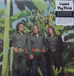 Various “I Lost My Mind” 1971-77 Spanish Underground Bands. Spanish psych-prog-hard-garage-fuzz-psych-funk tracks taken from obscure pressings and unreleased tapes. release in 600 copies