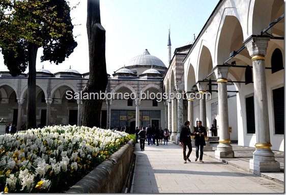 DSC_0387_Fotor