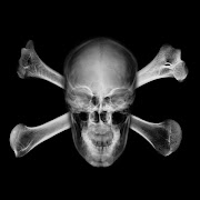 Caveiras do inferno! (skull )