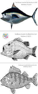 https://www.biblefunforkids.com/2023/03/tax-money-from-mouth-of-fish.html