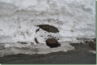 DSC_0021 DSC_0021