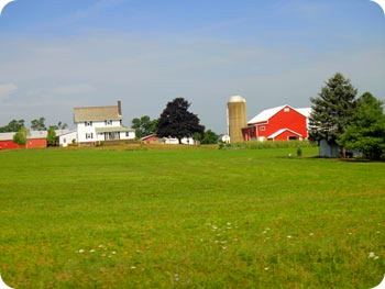 10-farm