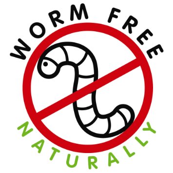 Wpforms free