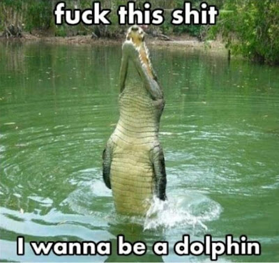 Wanna Be Dolphin