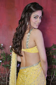 Aksha pardasany latest hot pics-thumbnail-10