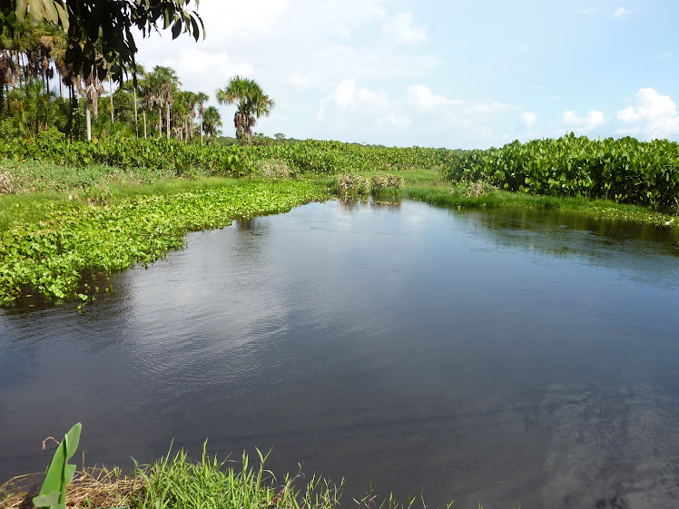LAGOA DOS INDIOS > AMAPÁ