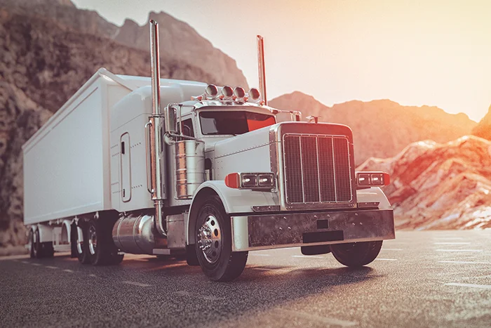 Fleet Trucking Business