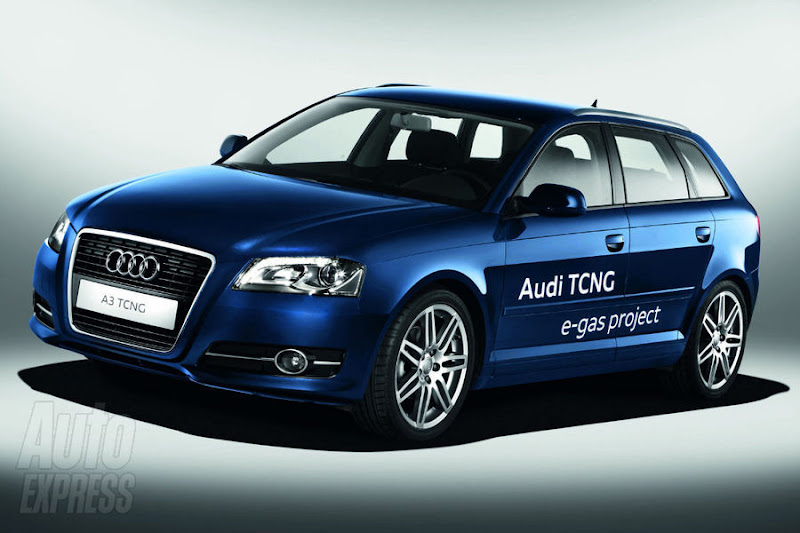 Audi A3 E-Gas Project