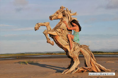 Amazing sculptures from wood
