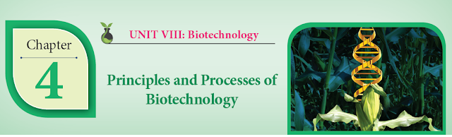 KALVISOLAI ONLINE TEST 91 - CLASS 12 BIOLOGY BOTANY - CHAPTER 4 PRINCIPLES AND PROCESSES OF BIOTECHNOLOGY - 1 MARK QUESTIONS - ONLINE TEST