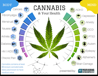 Hasil gambar untuk perbandingan ganja dan alkohol