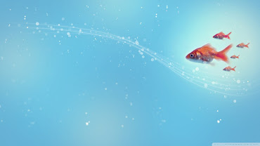 #1 Goldfish Wallpaper