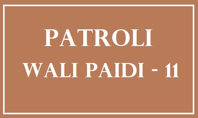 biografi wali paidi dalam serial patroli wali paidi