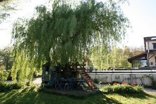   piscine amberieu, club natation amberieu en bugey, horaire piscine saint vulbas, pisciniste amberieu en bugey, syndicat mixte amberieu en bugey, piscine bourg en bresse, piscine meximieux, piscine ain, piscine oyonnax