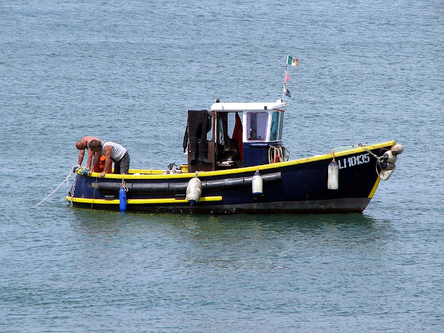 Service boat working at new jetties, Porto Mediceo, Livorno