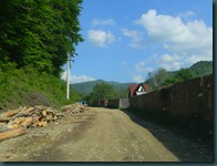 DSCN0221
