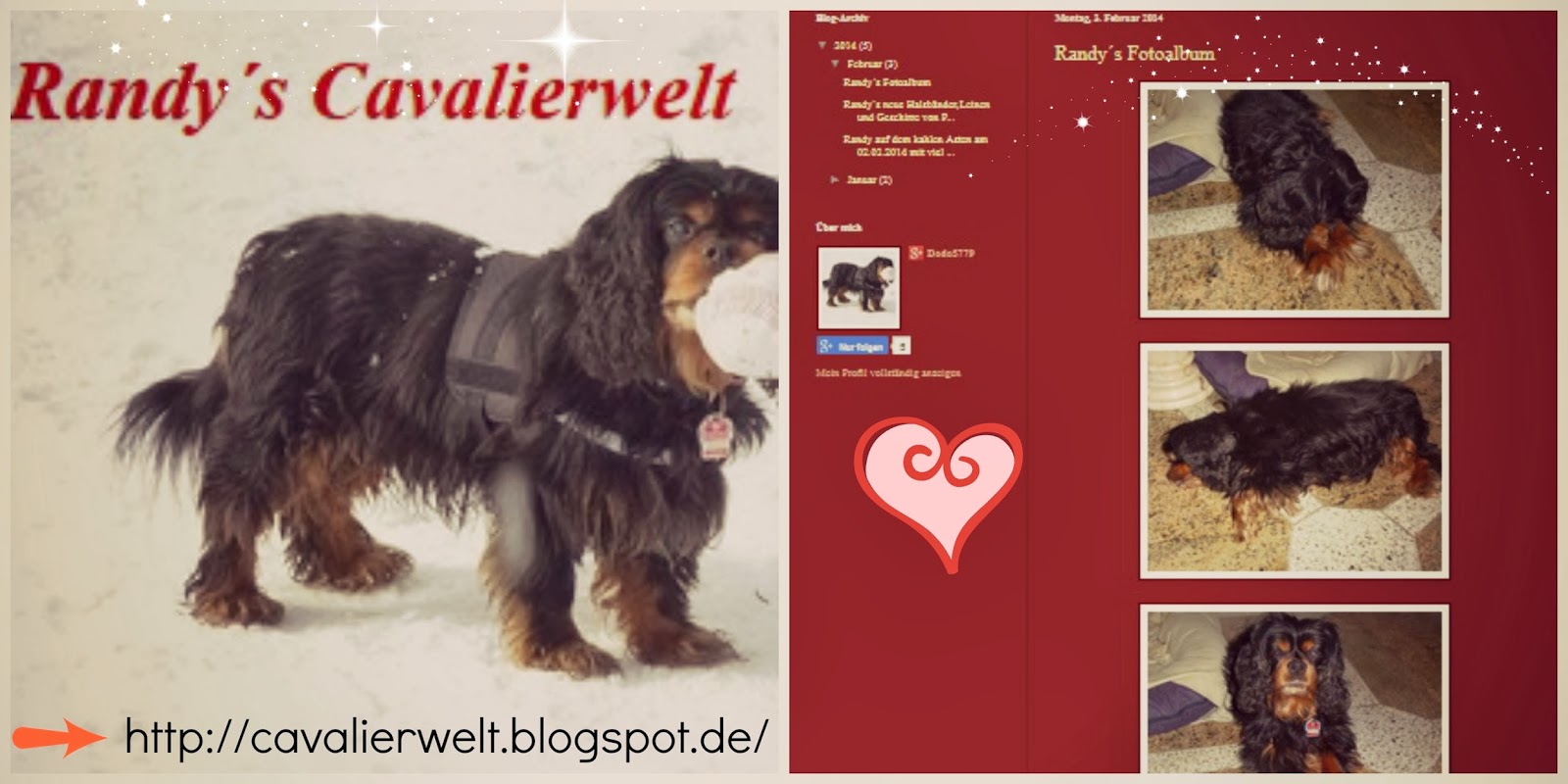 http://cavalierwelt.blogspot.de/