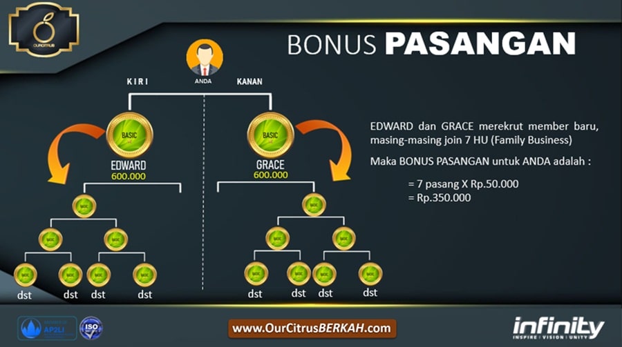 16.Marketing Plan Ourcitrus